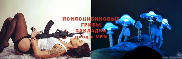 стаф Нея