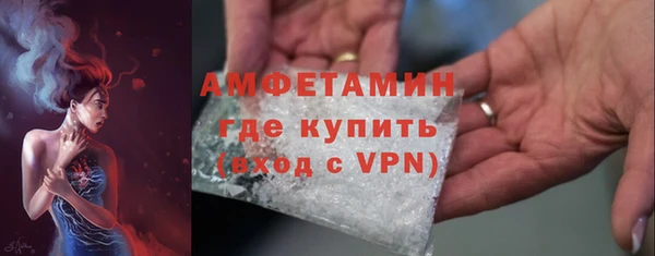 стаф Нея