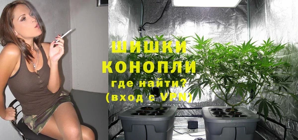 стаф Нея