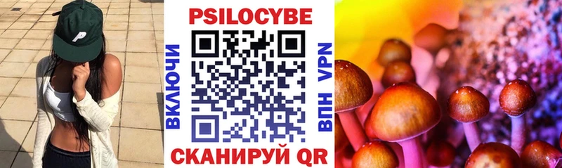Псилоцибиновые грибы Psilocybine cubensis хочу наркоту Алзамай